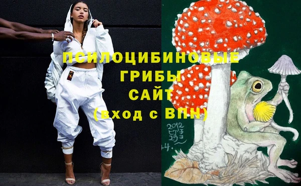 мдпв Армянск