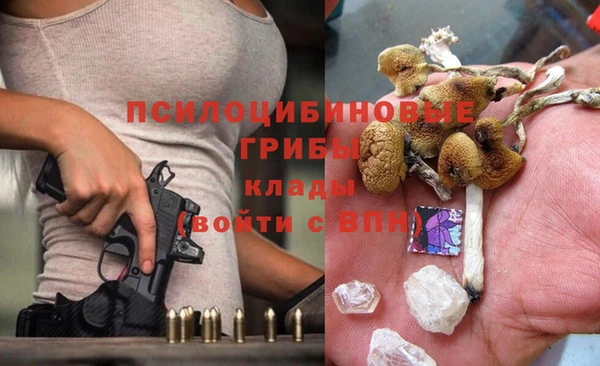 дурь Аркадак